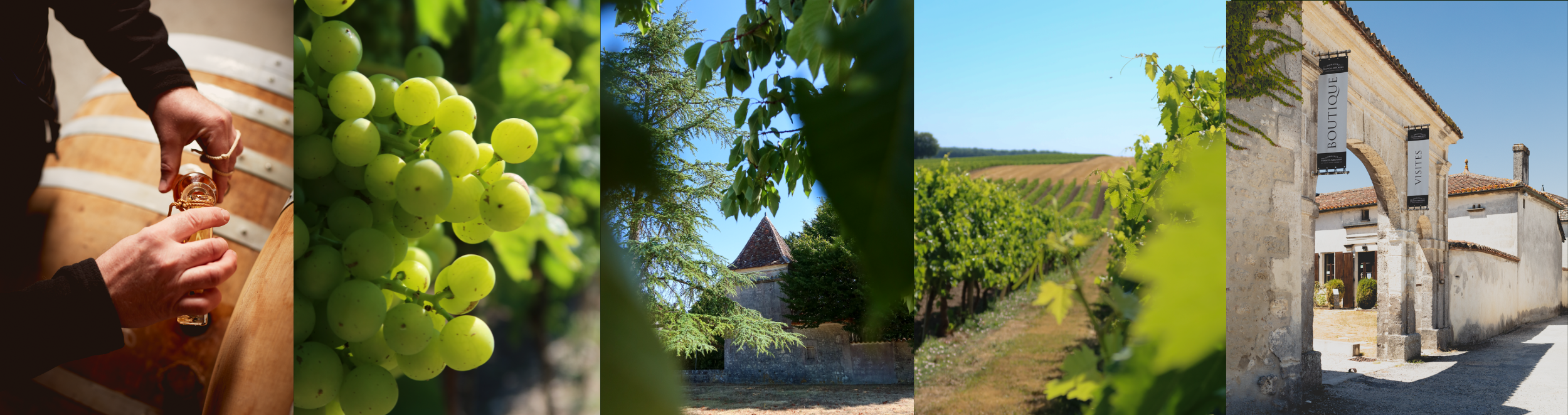 bannière domaine chez Maillard