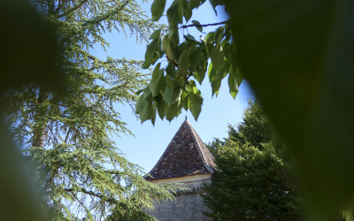 Visite Passion Cognac
